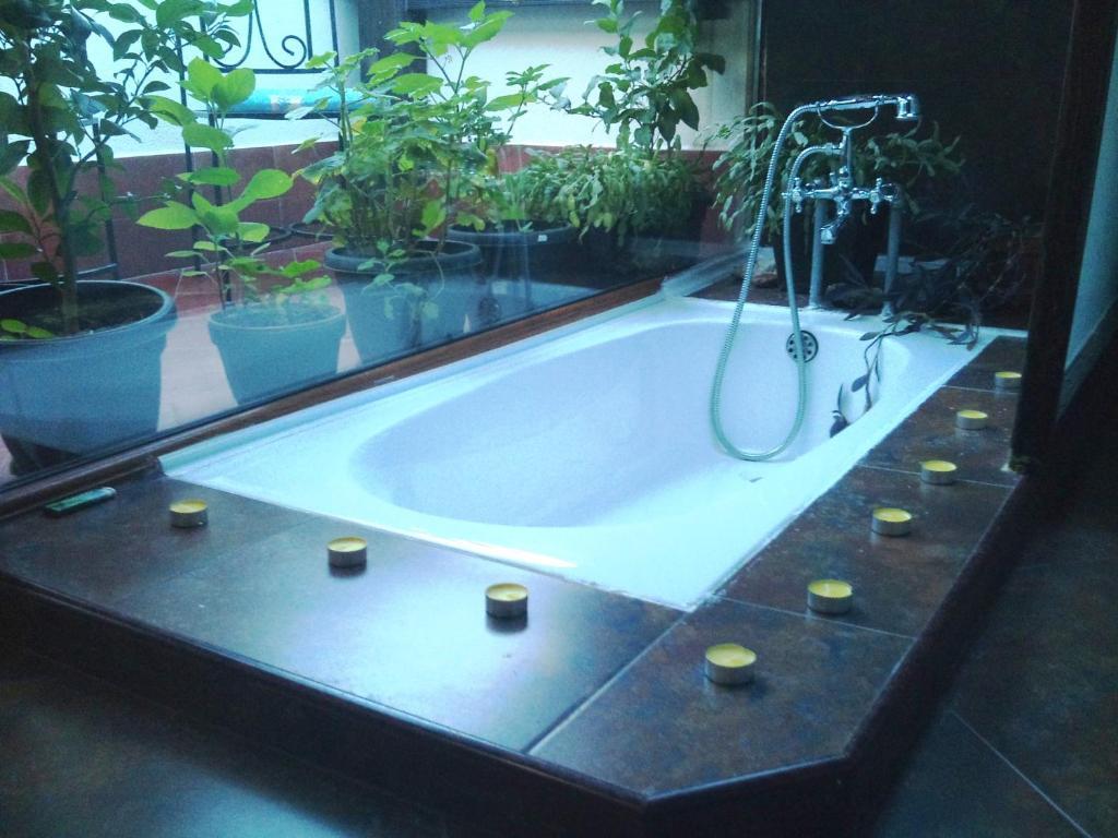 Villa Jovan Ohrid Habitación foto